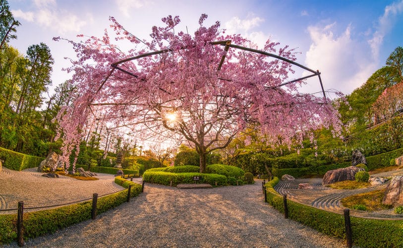 Kyoto’s Secret Gardens
